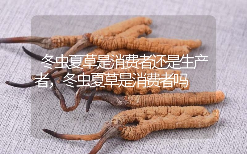 貧血吃冬蟲夏草有效果嗎，貧血虛弱者可以用冬蟲夏草嗎？