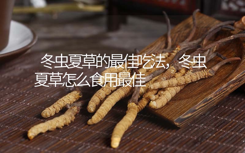 冬蟲夏草的最佳吃法，冬蟲夏草怎么食用最佳