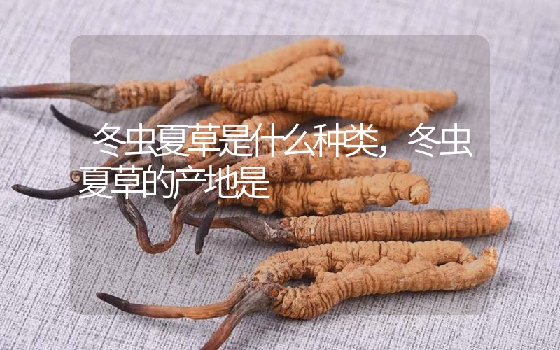 冬蟲夏草是什么種類，冬蟲夏草的產(chǎn)地是