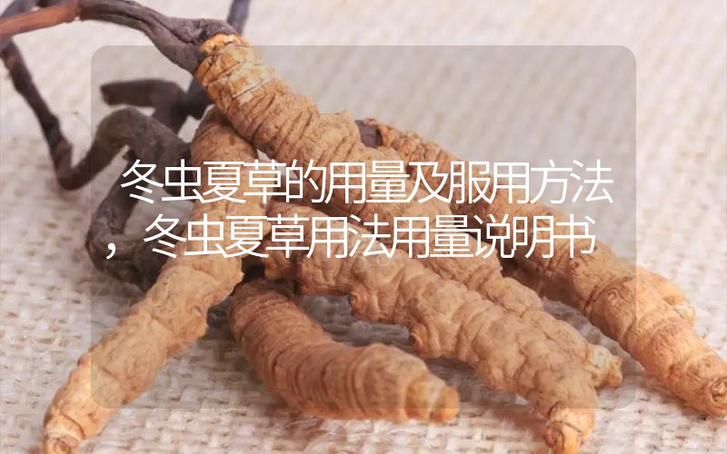 冬蟲夏草的用量及服用方法，冬蟲夏草用法用量