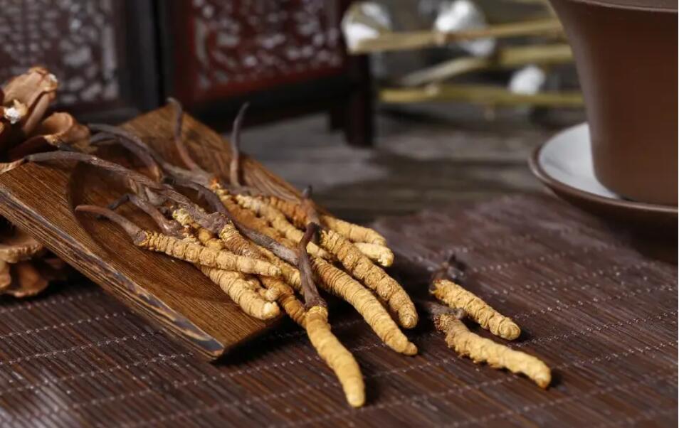 冬蟲夏草怎么選擇，冬蟲夏草選怎么樣的最好?