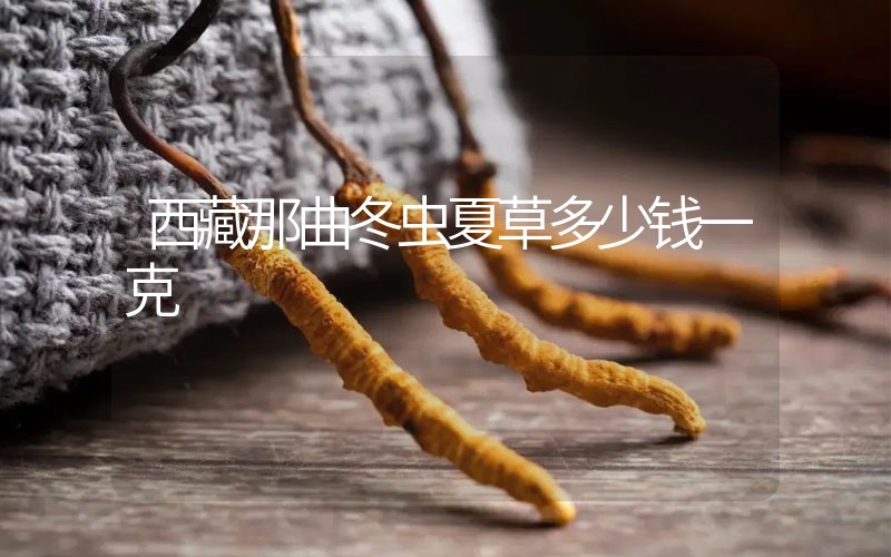 西藏那曲冬蟲夏草多少錢一克？