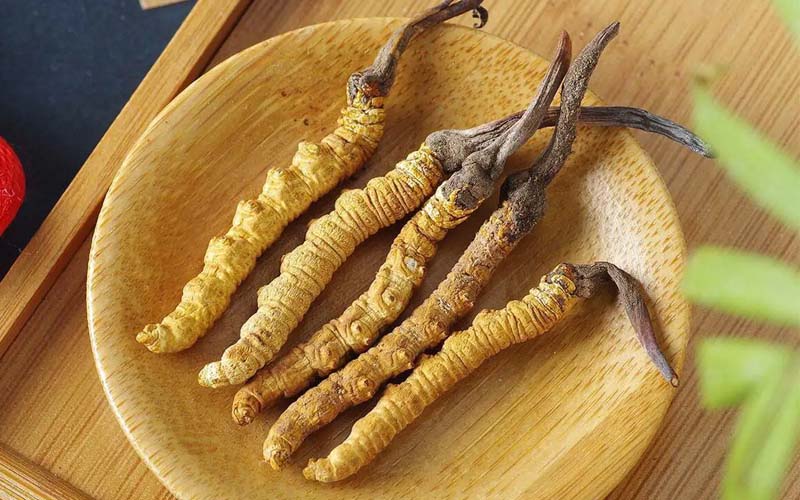 冬蟲(chóng)夏草作用可以調(diào)節(jié)身體肝臟功能嗎？