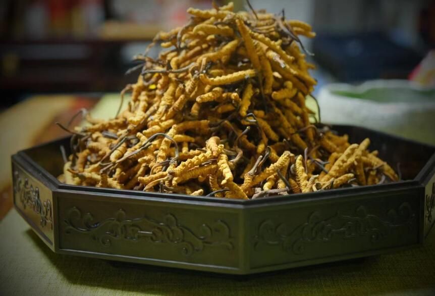 <a href=http://www.xmwhr.com/ target=_blank class=infotextkey>冬蟲夏草</a>