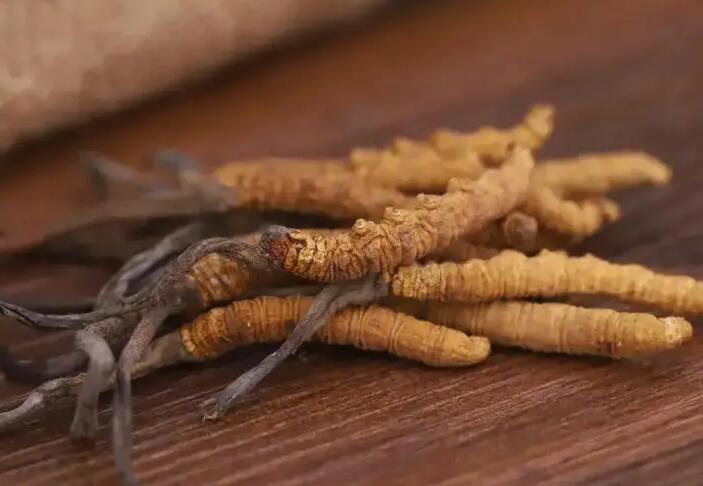 細(xì)說冬蟲夏草的基礎(chǔ)知識(shí)