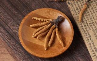 鑒別冬蟲(chóng)夏草有哪些常用口訣！