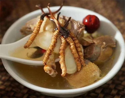 冬蟲(chóng)夏草用什么壺煮水？