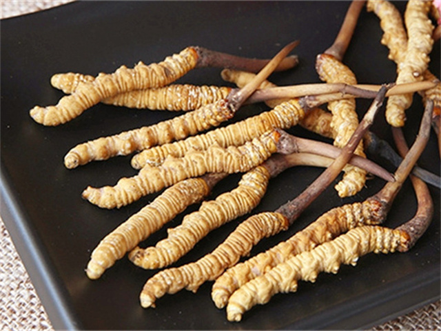 真的冬蟲夏草什么價格？影響冬蟲夏草價格波動的3個關鍵因素