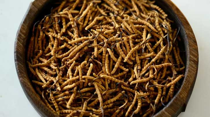 冬蟲夏草_蟲草價格-蟲草產(chǎn)地直銷網(wǎng)【西藏那曲冬蟲夏草】