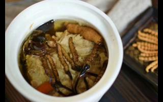 冬蟲夏草怎么食用？解鎖滋補(bǔ)養(yǎng)生的正確打開方式