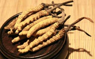 冬蟲夏草的價格一克：為何如此昂貴？