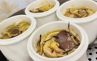 冬蟲(chóng)夏草有營(yíng)養(yǎng)價(jià)值嗎