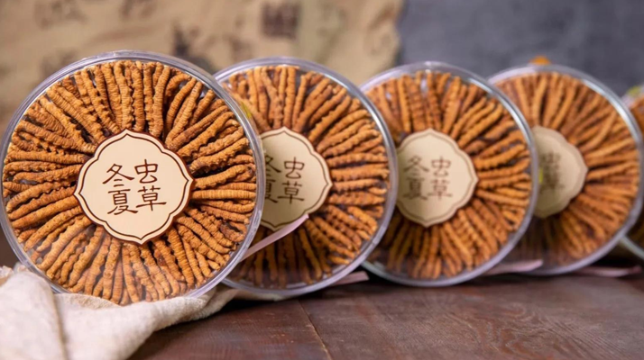 <a href=http://www.xmwhr.com/chanpin/ target=_blank class=infotextkey>冬蟲夏草一盒多少錢</a>？全方位剖析價格構(gòu)成