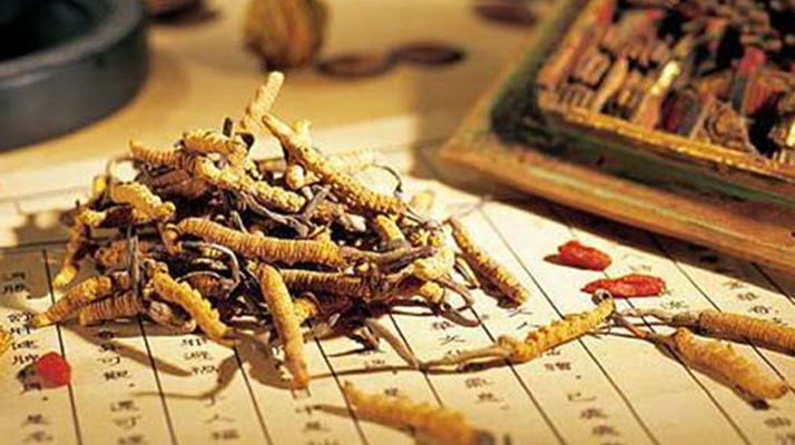同仁堂健康冬蟲夏草：傳承品質(zhì)，饋贈(zèng)健康