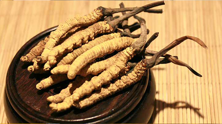 冬蟲夏草真?zhèn)伪鎰e全指南：5 招識(shí)破造假陷阱