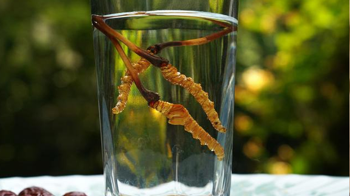 <a href=http://www.xmwhr.com/xinxian/ target=_blank class=infotextkey>鮮冬蟲夏草</a>怎么泡好吃？這些配方讓滋補(bǔ)更有滋味