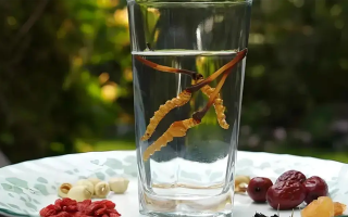 冬蟲夏草鮮品泡酒：養(yǎng)生佳釀還是健康隱患？
