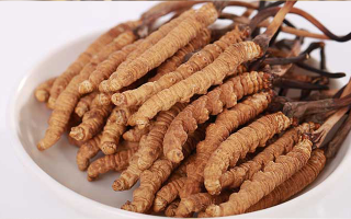 冬蟲夏草燉水鴨，搭配這些食材更滋補