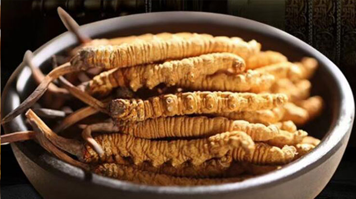 好的<a href=http://www.xmwhr.com/jiage/ target=_blank class=infotextkey>冬蟲夏草多少錢</a>一克