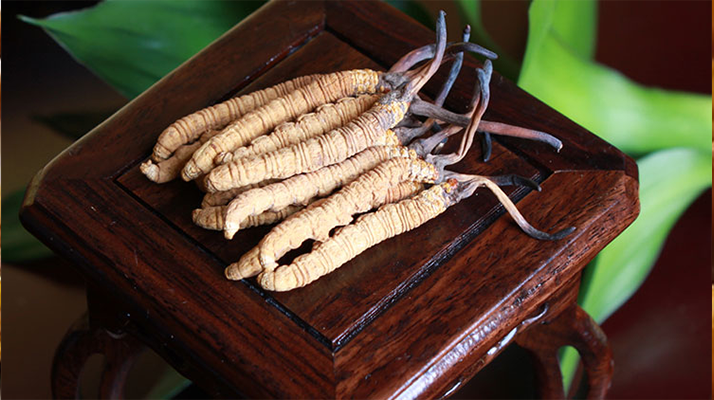 怎樣鑒別<a href=http://www.xmwhr.com/tag/6.html target=_blank class=infotextkey>冬蟲夏草的產(chǎn)地</a>