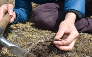 冬蟲(chóng)夏草怎么區(qū)別真?zhèn)?> </div>
            <div   id=