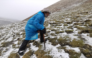 冬蟲夏草長在什么季節(jié)?