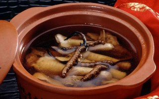 糖尿病可服用冬蟲夏草嗎？科學(xué)解析其調(diào)理價(jià)值與注意事項(xiàng)