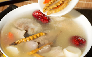 老人可以喝冬蟲夏草茶嗎？科學飲用的養(yǎng)生指南