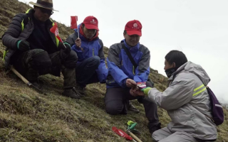 冬蟲夏草：把握最佳采摘季，守護自然饋贈