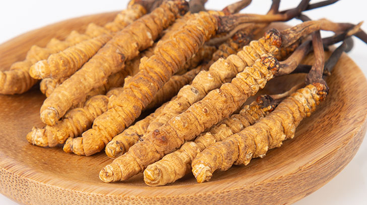 冬蟲夏草，真有那么大效果？