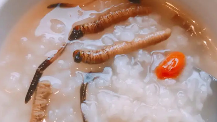 冬蟲夏草適合哪些人群？精準匹配與禁忌提醒