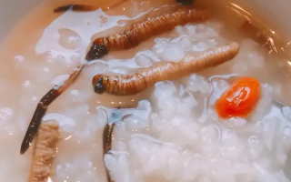 冬蟲夏草適合哪些人群？精準匹配與禁忌提醒