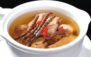 冬蟲夏草怎樣燉是最好的？掌握這幾步，營養(yǎng)不流失還美味