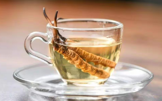 一瓶酒泡多少冬蟲夏草？科學(xué)搭配有講究