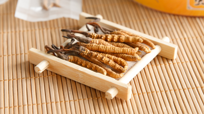  冬蟲(chóng)夏草效果好不好用？看適用場(chǎng)景與人群，理性看待才不踩坑