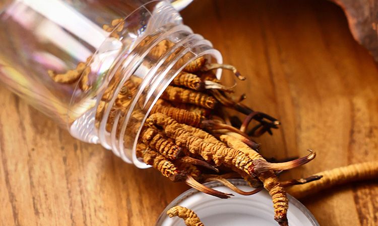 <a href=http://www.xmwhr.com/jiage/ target=_blank class=infotextkey>冬蟲夏草多少錢</a>一條 