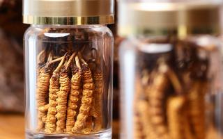 送冬蟲夏草給男孩子好嗎？分場(chǎng)景分析 + 送禮建議