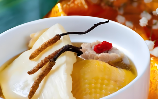 黃芪能和西藏那曲的冬蟲(chóng)夏草一起燉嗎？