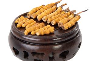 冬蟲夏草的頭期斷草好嗎？有沒有營養(yǎng)價(jià)值？