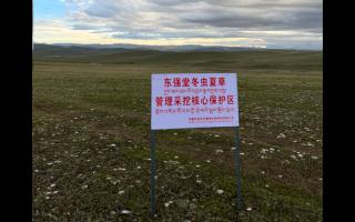 高原之上，蟲草共生；守護(hù)生態(tài)，東強(qiáng)堂與你同行