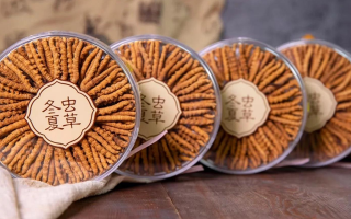 冬蟲夏草價格暴跌真相：藏農(nóng)神草告訴你，正宗那曲蟲草為何“價穩(wěn)質(zhì)優(yōu)”