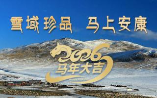 雪域高原藏珍品，2026愿您馬上安康——來自西藏那曲蟲草網(wǎng)的新春祝福