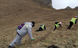 深耕那曲雪域，甄選正宗好草——2026那曲冬蟲夏草優(yōu)質(zhì)品牌盤點